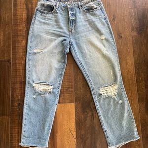 Hidden Brand Light Wash Dad Jeans Size 30